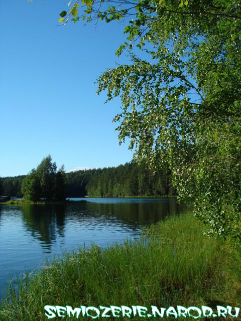 Авроровское озеро летом