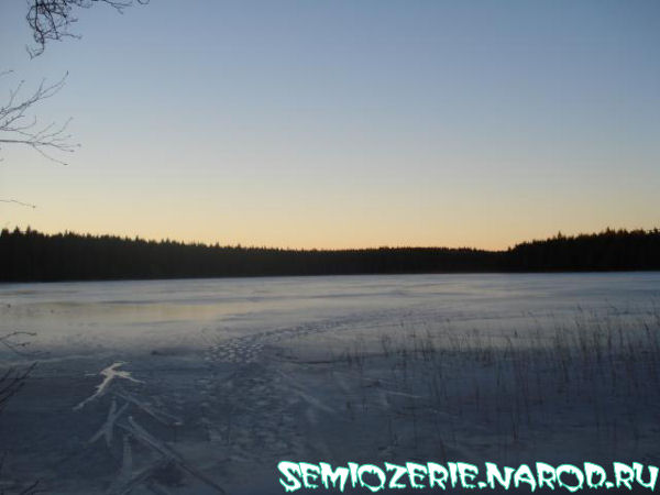 Лесное озеро зимой