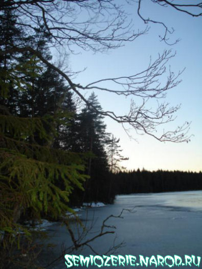 Лесное озеро зимой